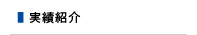 実績紹介